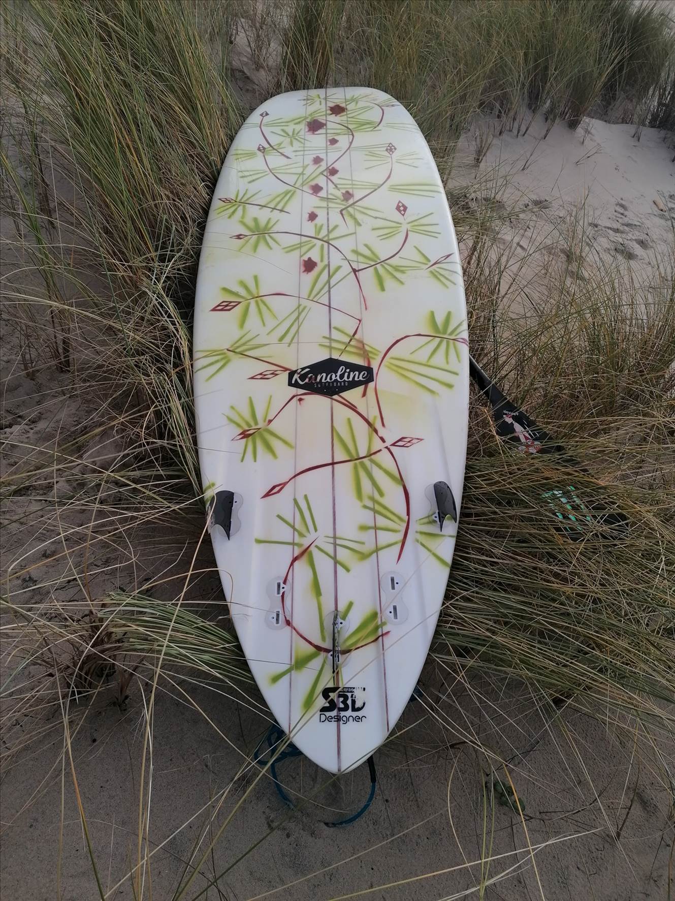 lrd bot beach