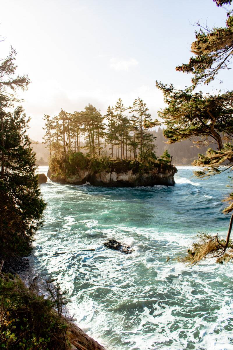 Salt+Creek+Recreational+Area,+Port+Angeles,+Washington,+Olympic+Peninsula