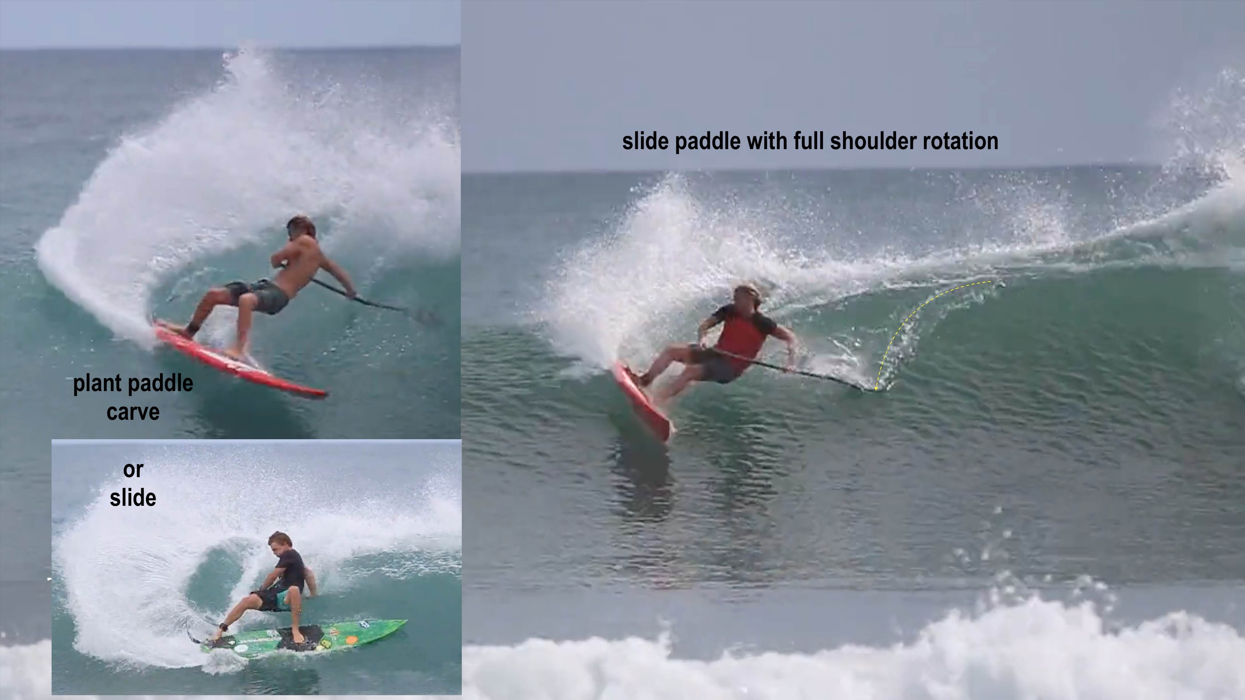 1 paddle plant
