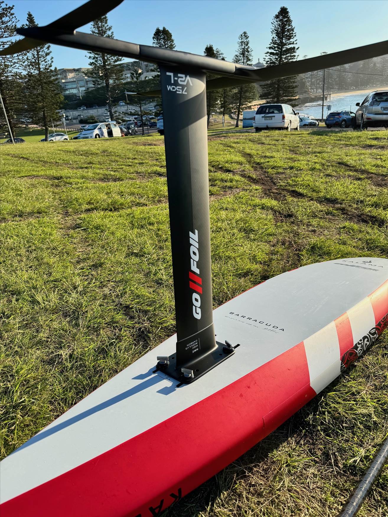 V2-L Mast on Board