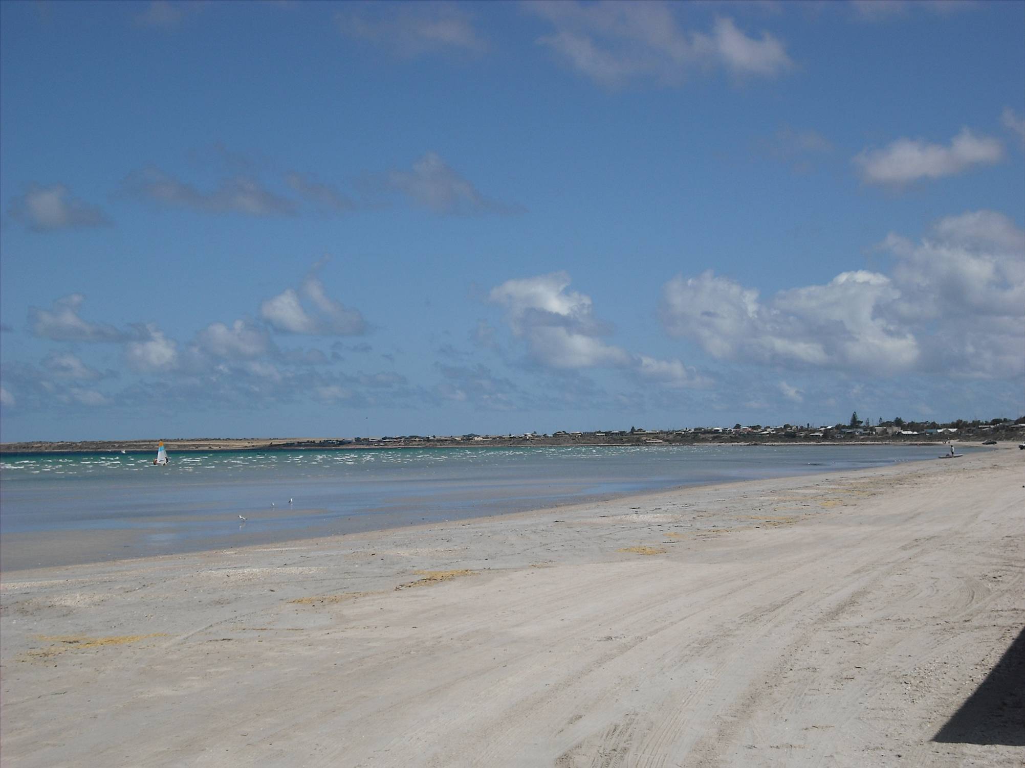 Wallaroo