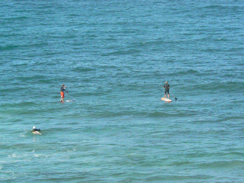 Fun in the wind. Northern reef break Perth