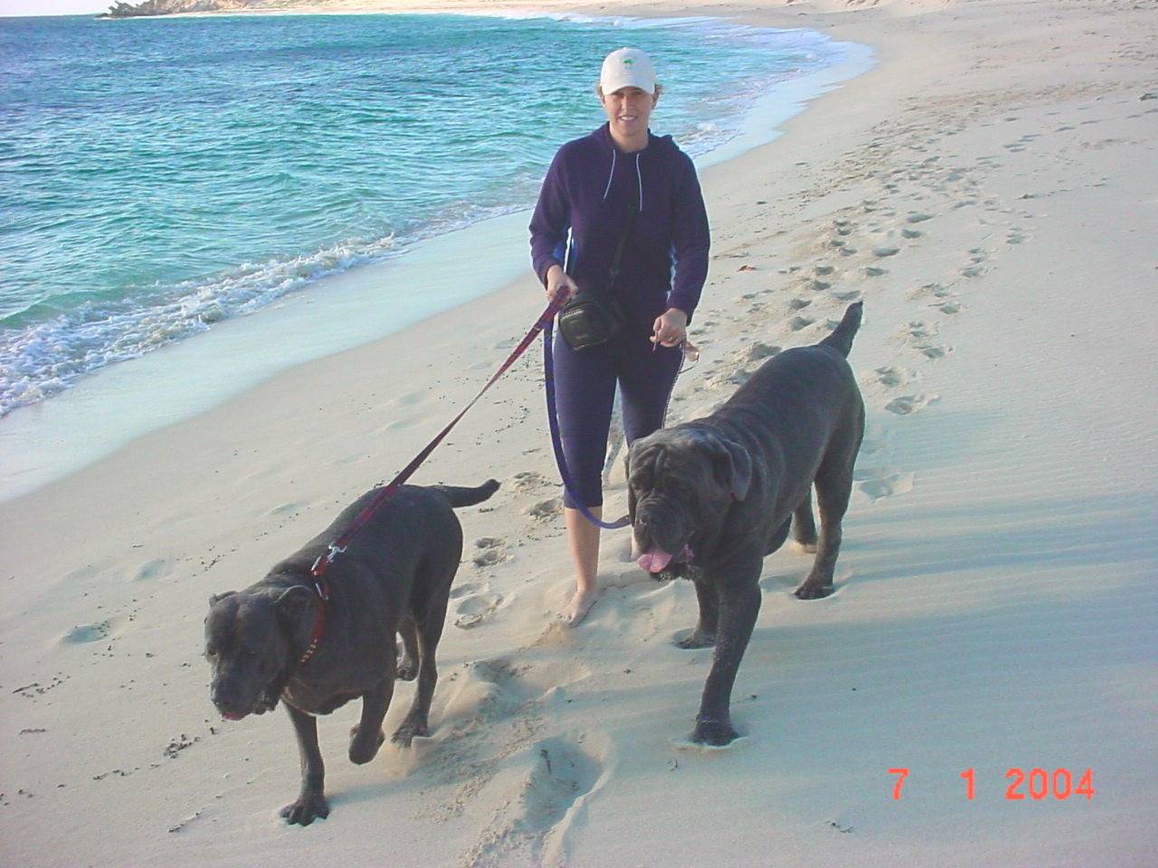 Mossi & Alla