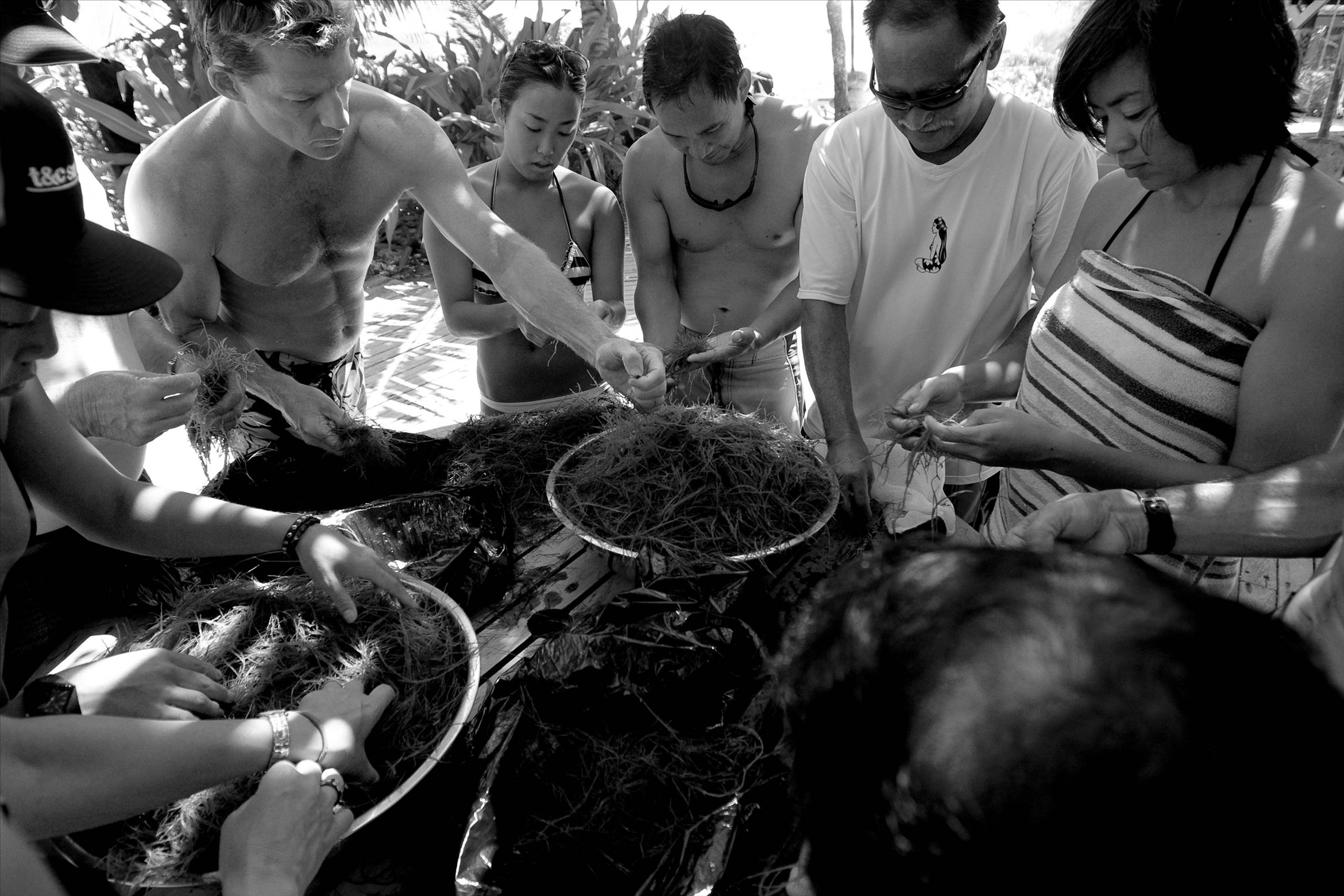 62. OGO = Seaweed dish