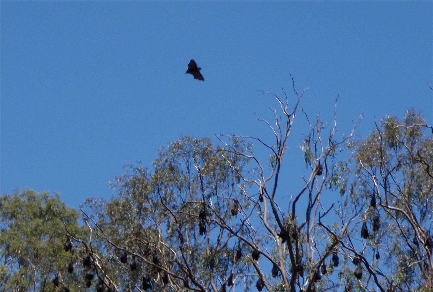 P2040023crop