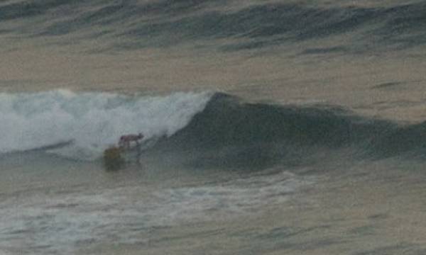 Sam at Narrabeen