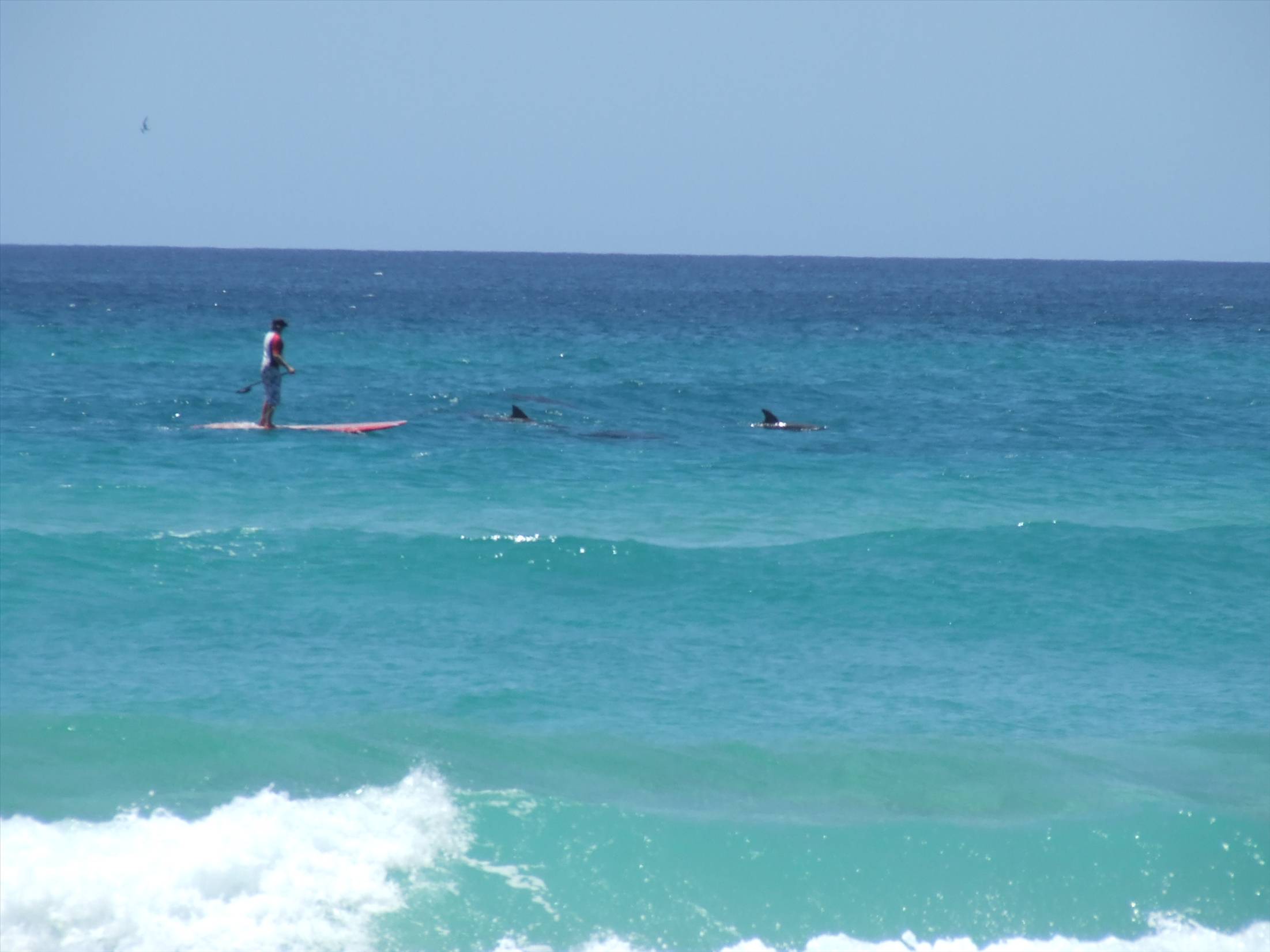 2009 with aquatic friends