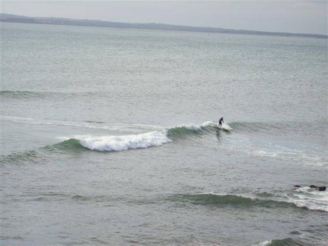 100 0229 (Small)