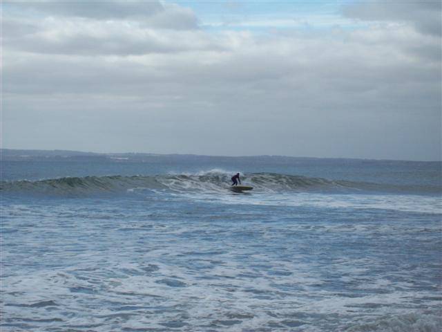 100 0239 (Small)