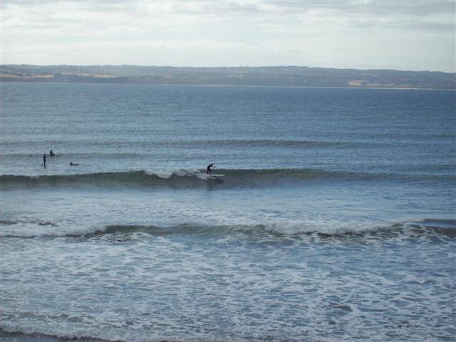 100 0243 (Small)