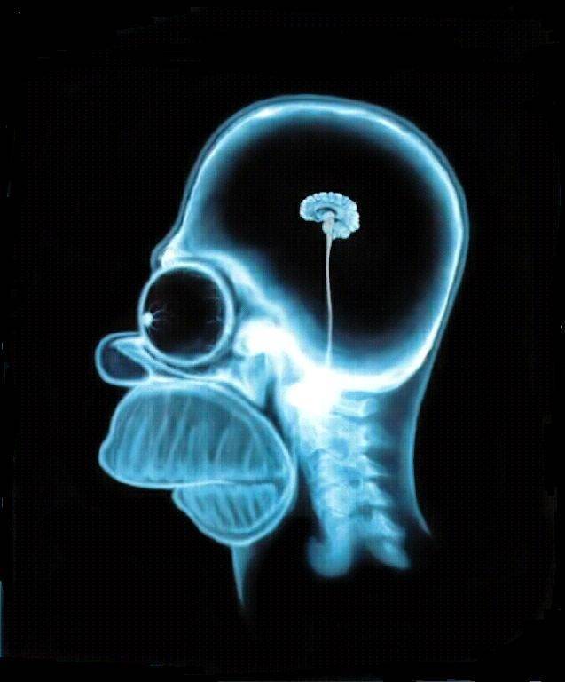 homer simpson