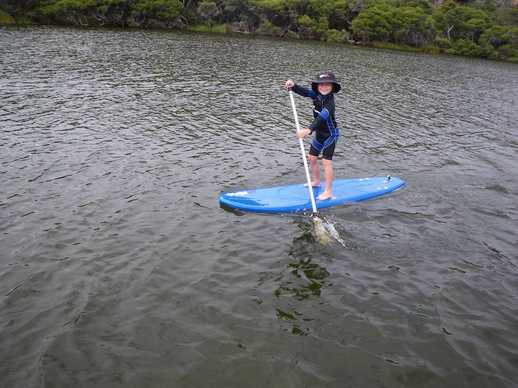 MRpaddle 3