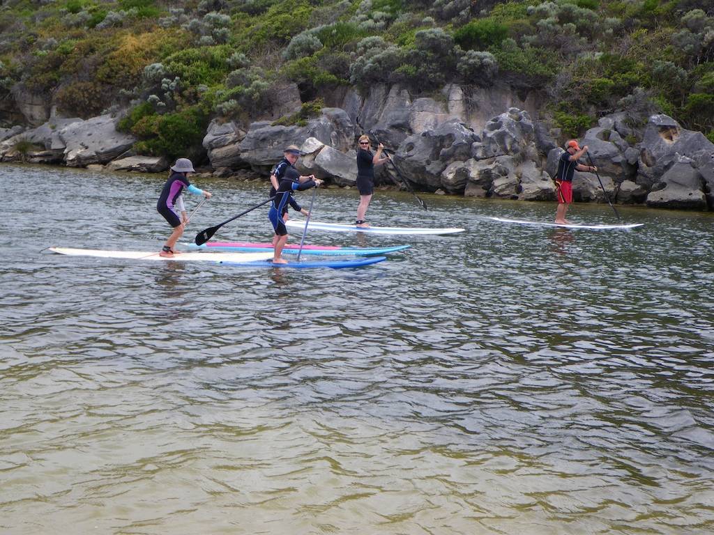 MRpaddle 6