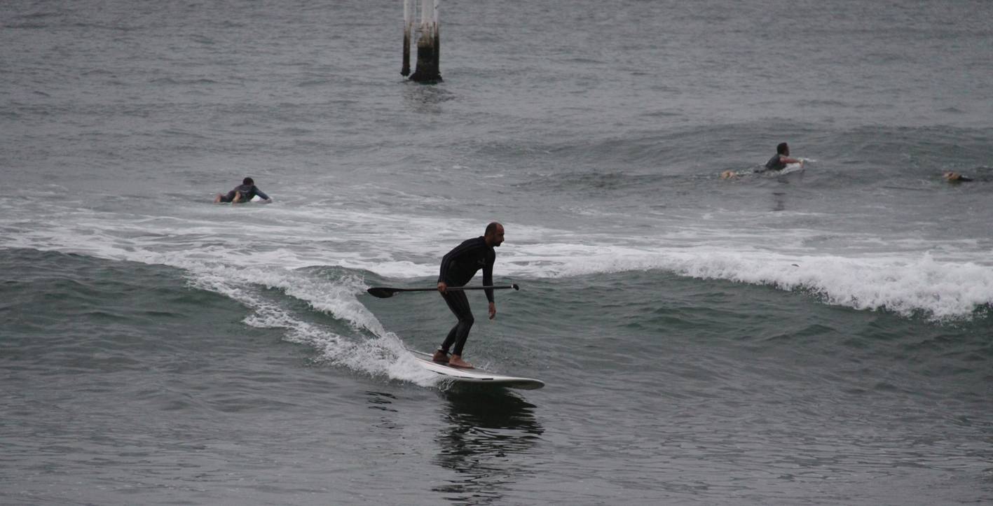 Sydney Harbour SUP
