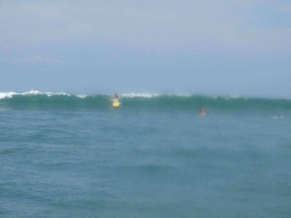 foggywave