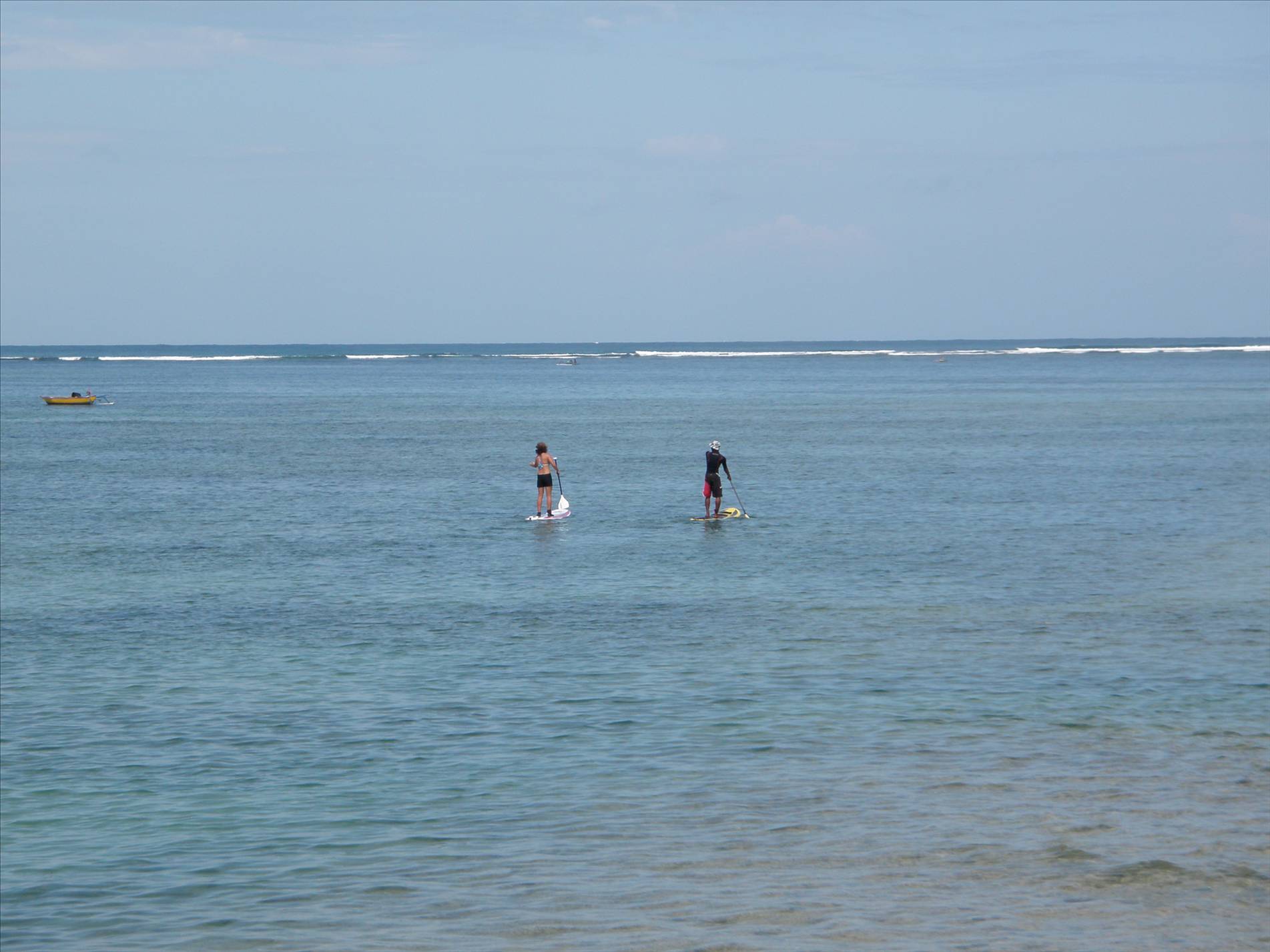 babyreef