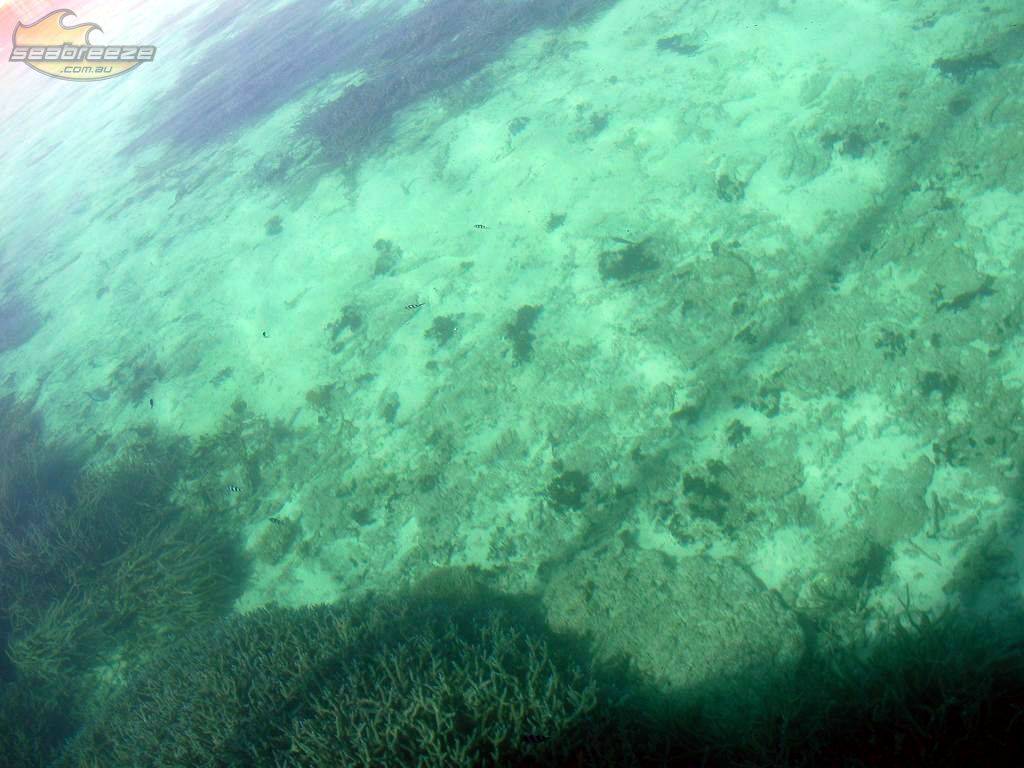 A SUP Odyssey