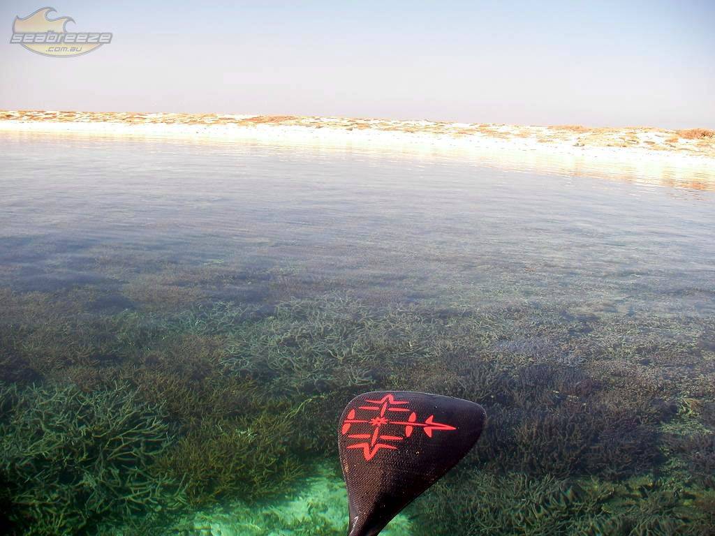 A SUP Odyssey