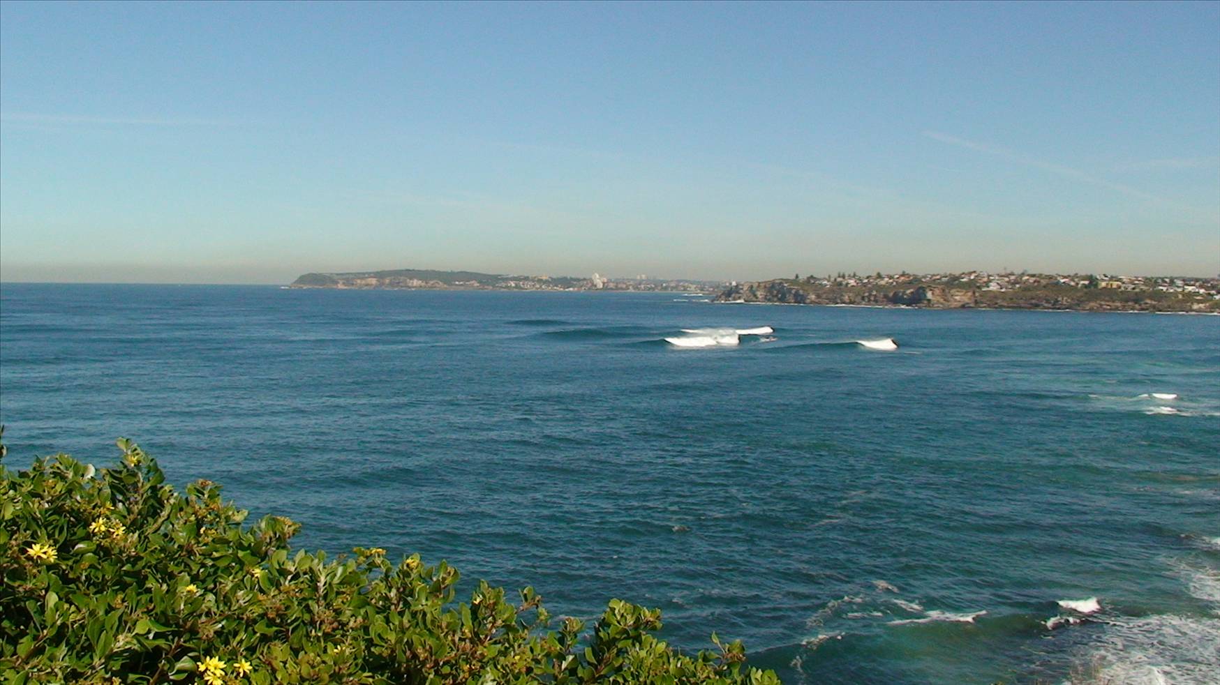 DSC00808