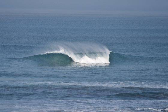 Bombie1