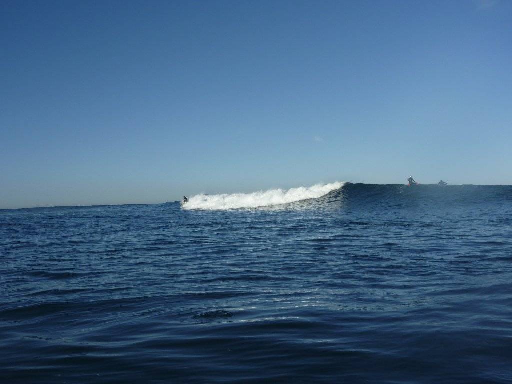 flinders