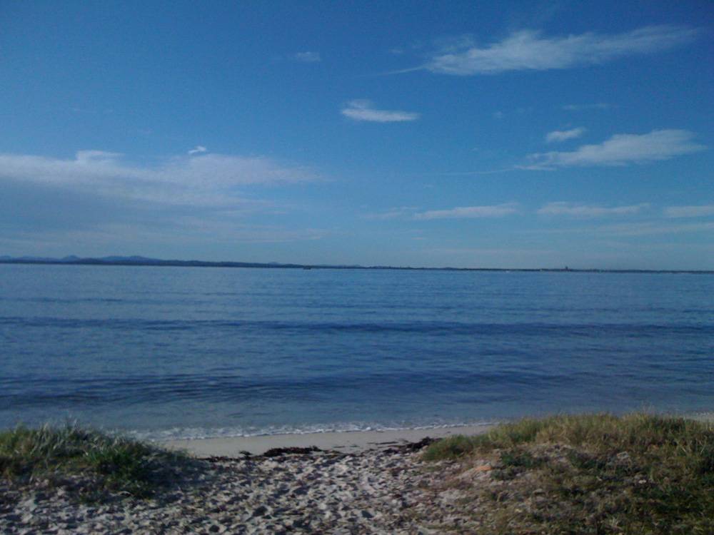 Arvo Glass Off