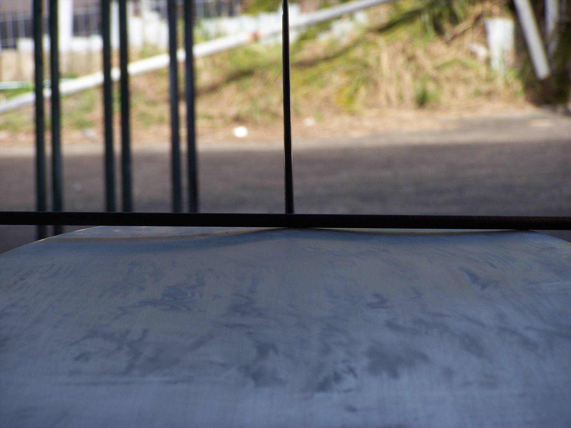 100 3146