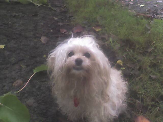 Photo 020906 001