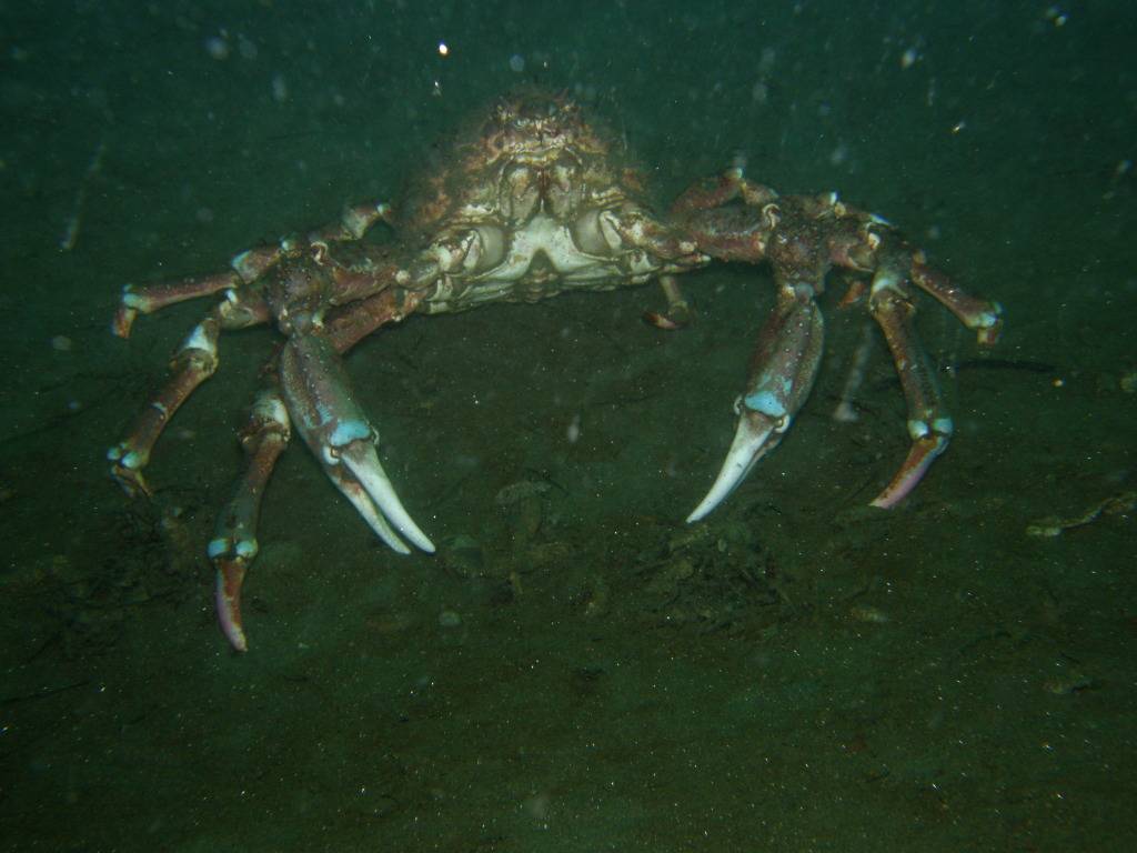 P7180075