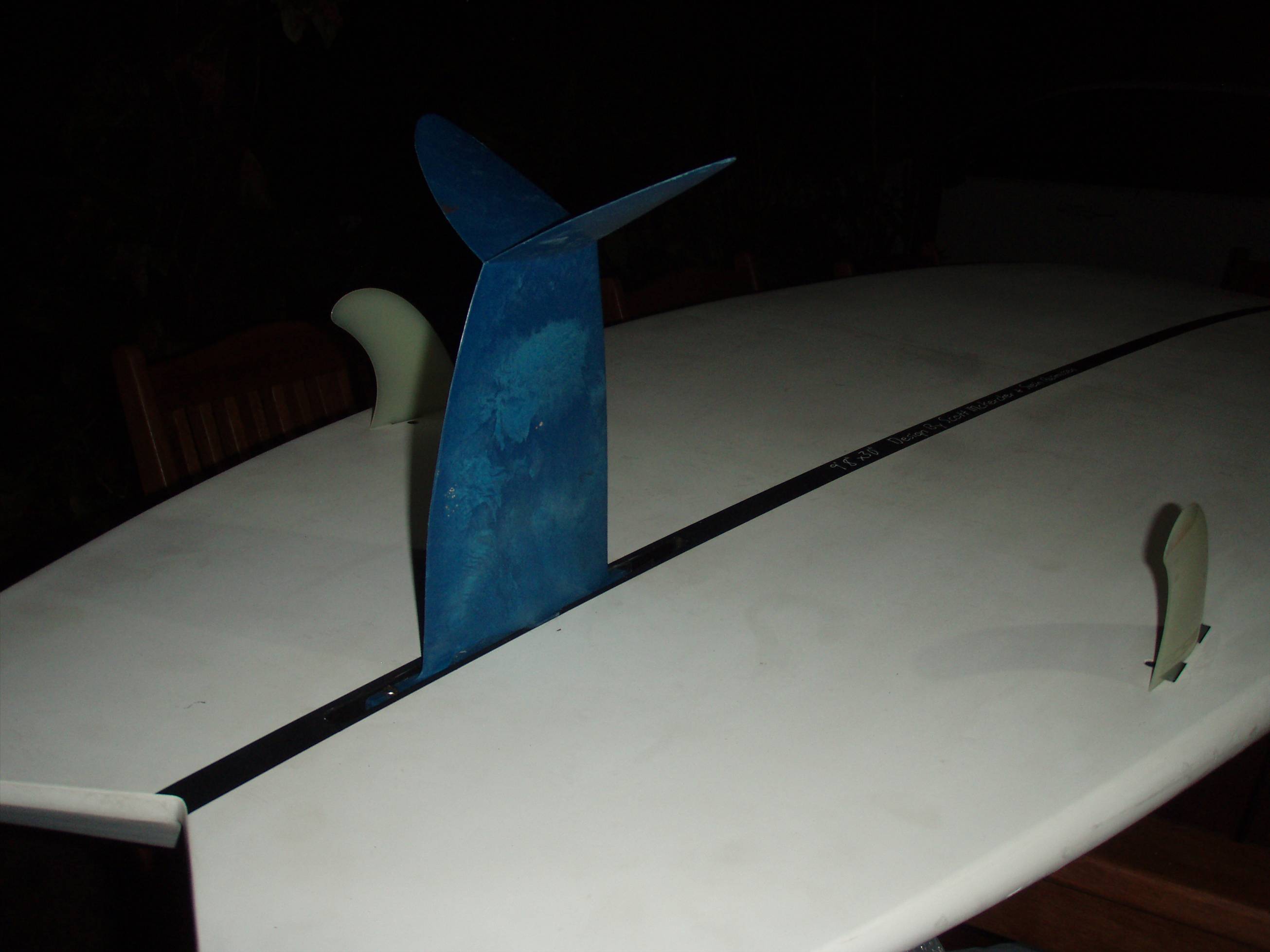 winged fin