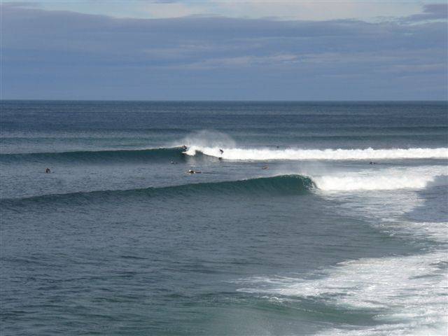 RINCON BELLS 007
