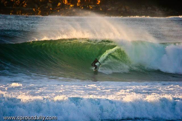 Manly 12-08-09