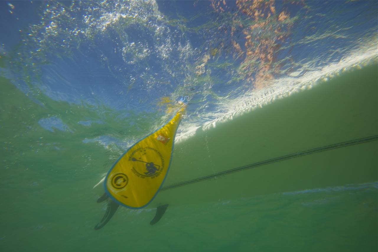 paddle