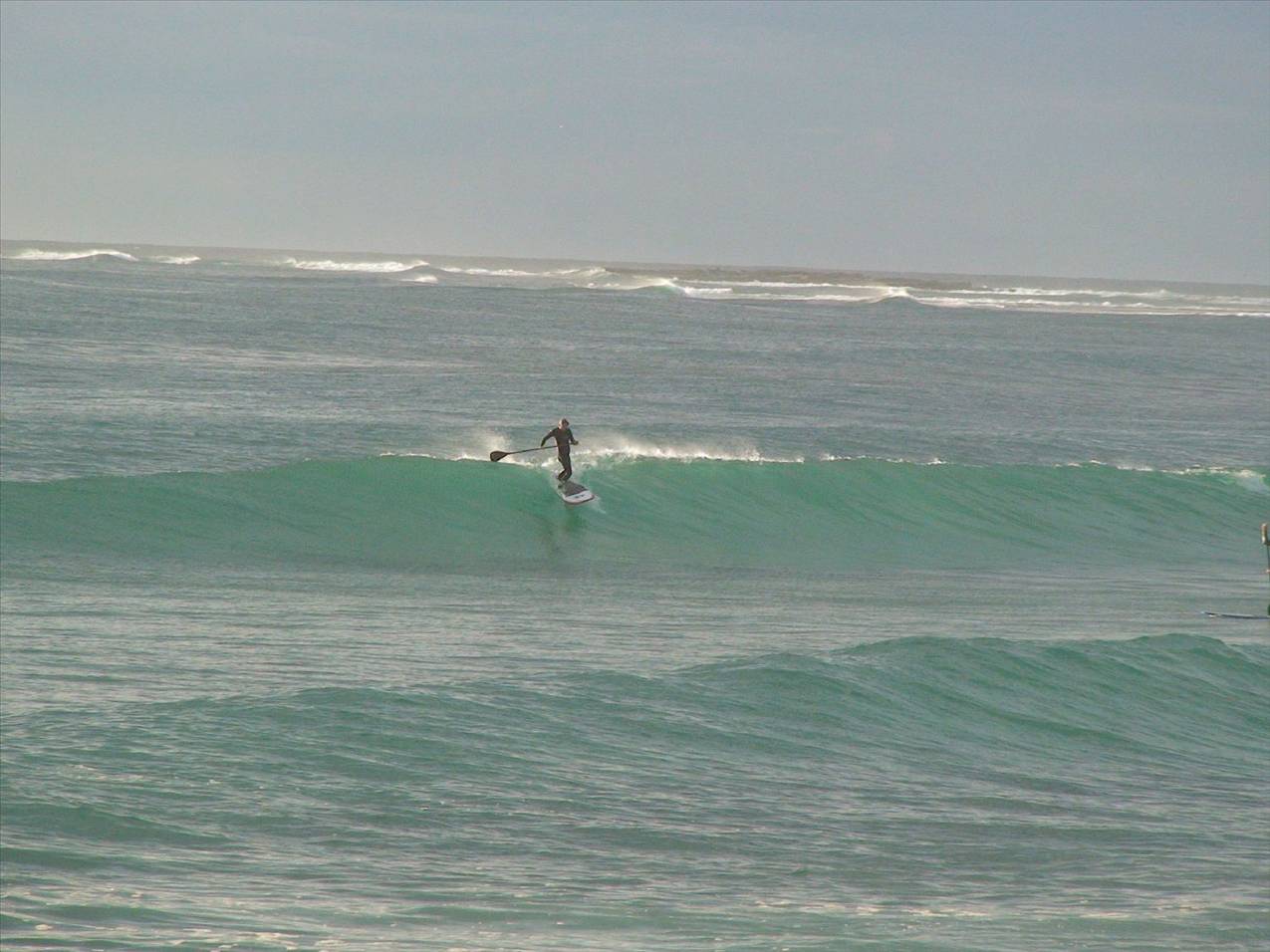 DSC00848