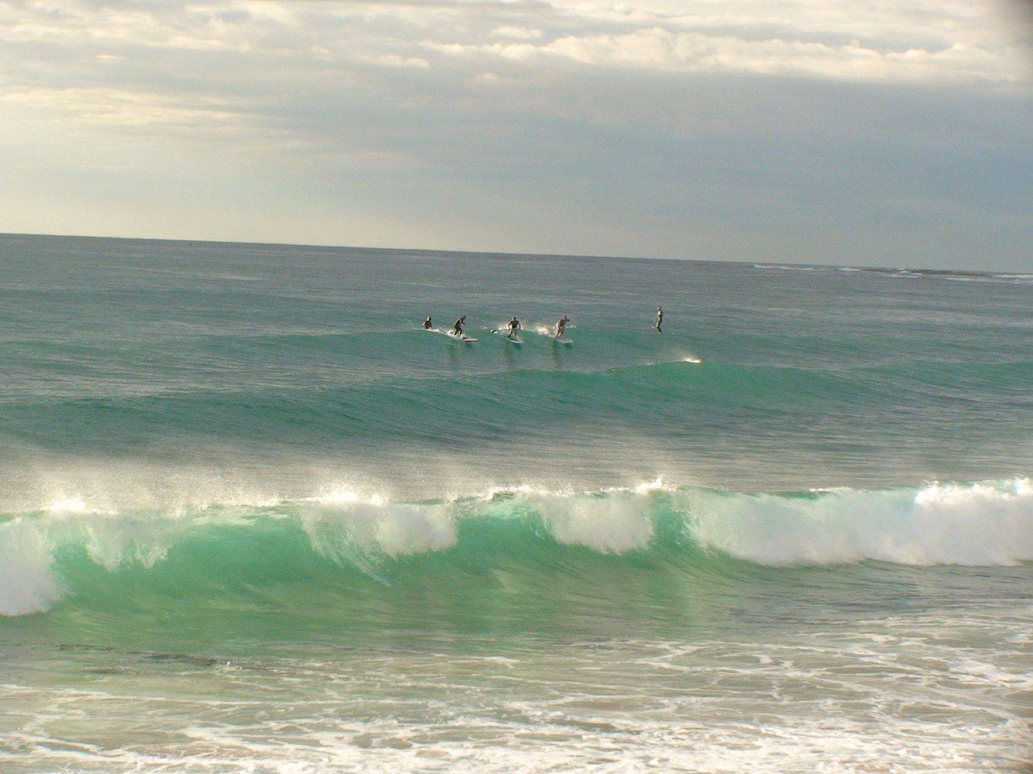 DSC00860