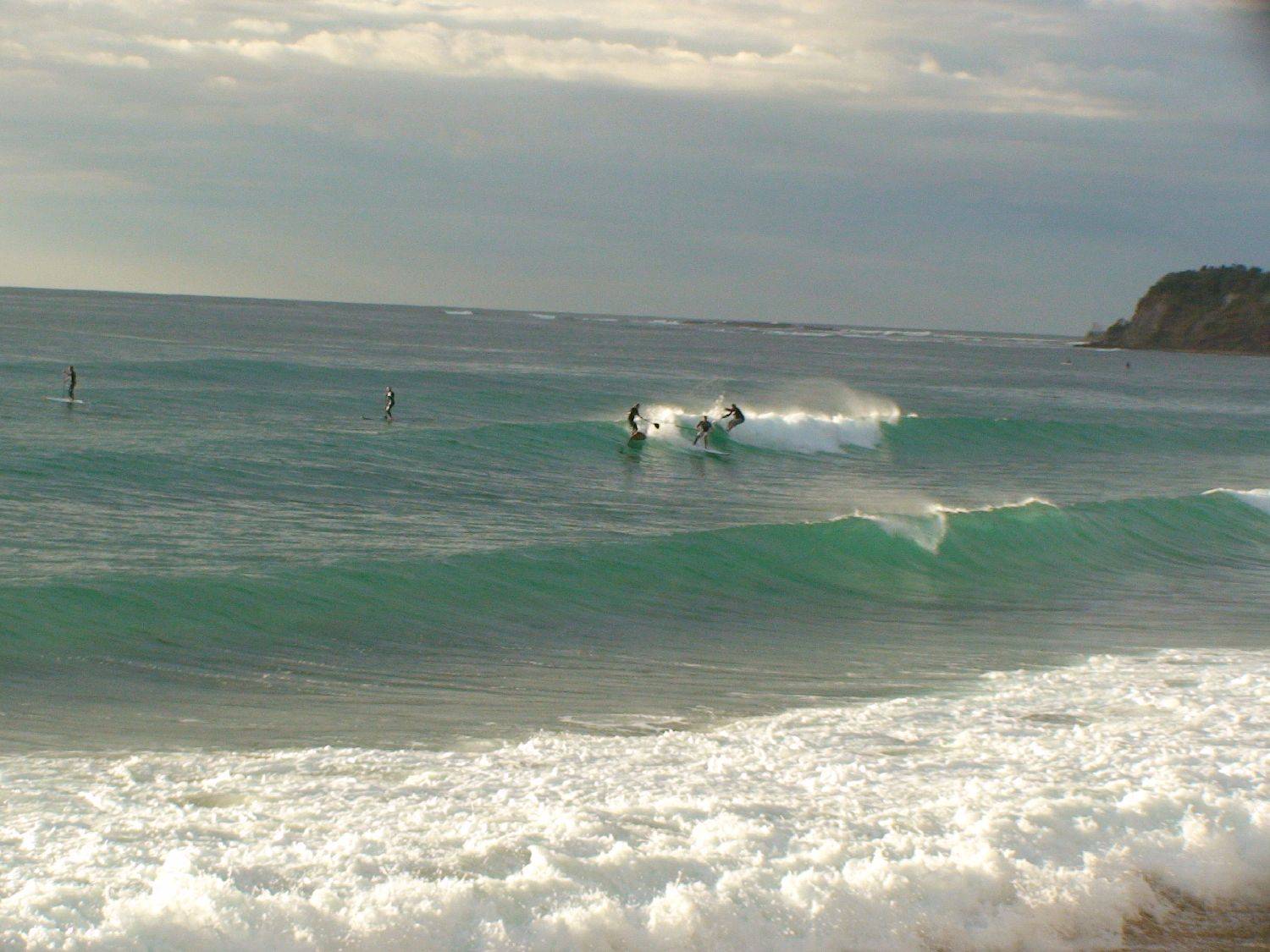 DSC00861