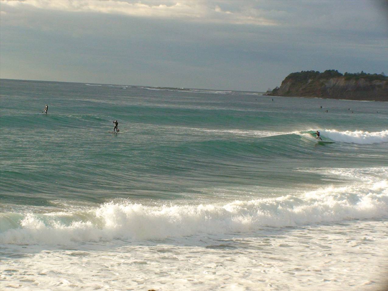 DSC00862
