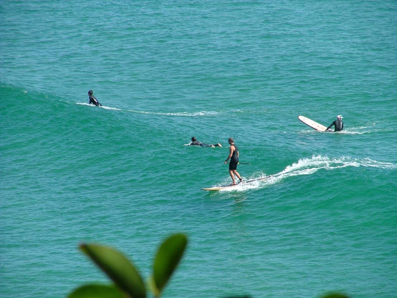 sup 003