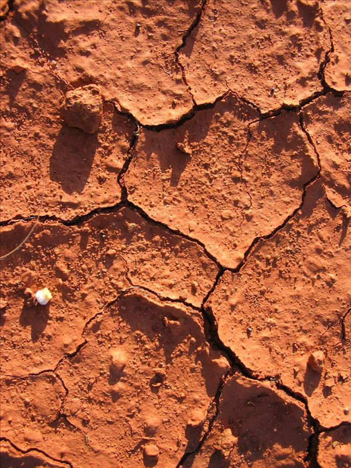 Pindan Earth