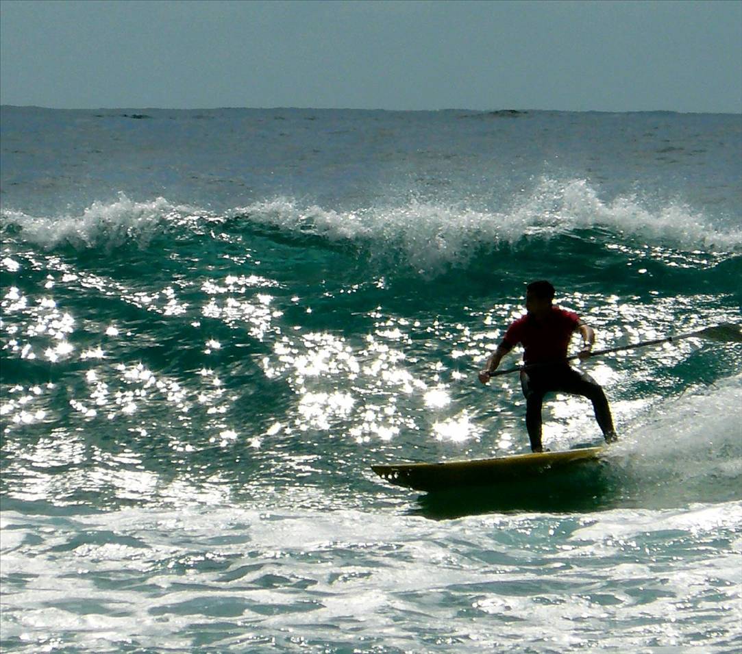 SPSC Palm Beach event