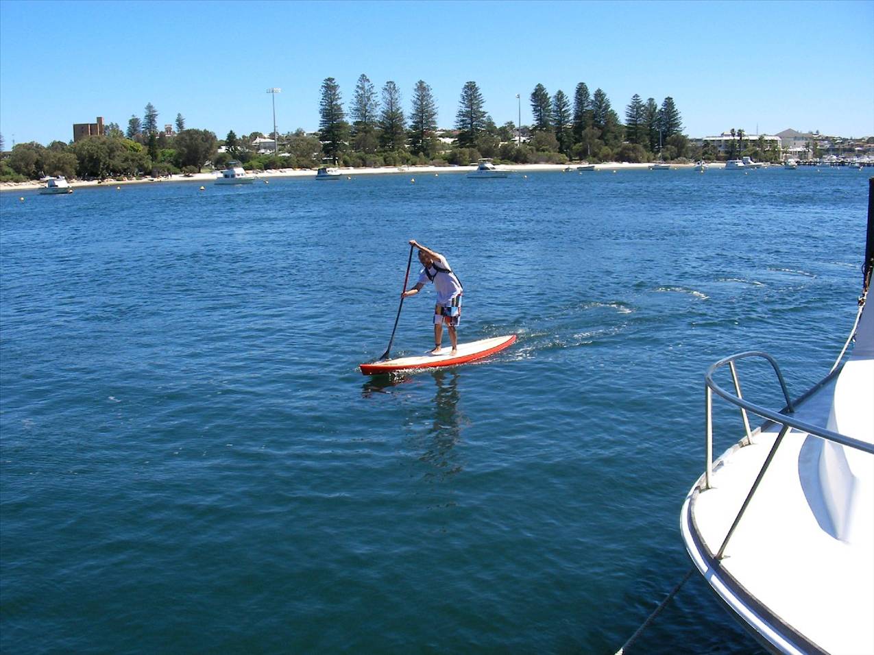Classic Paddle