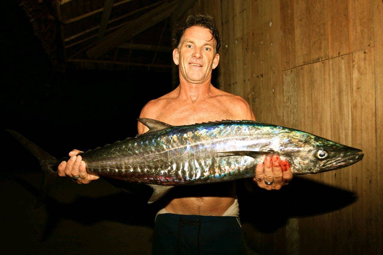 fish