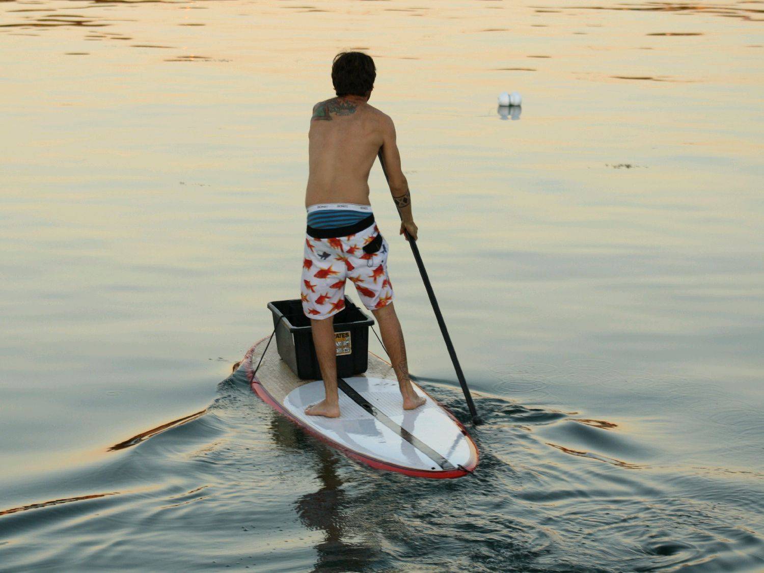 SUP.....C