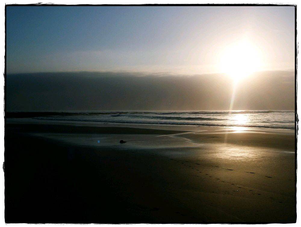 Sandon Lefts