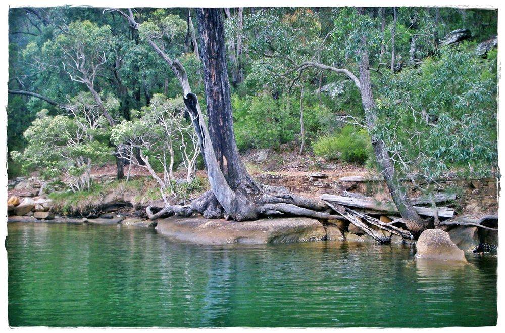 National Park