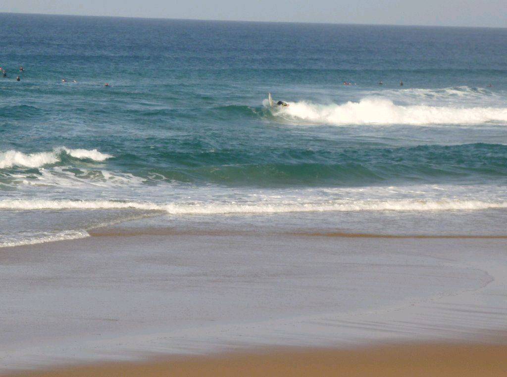 P1010253 1024x762