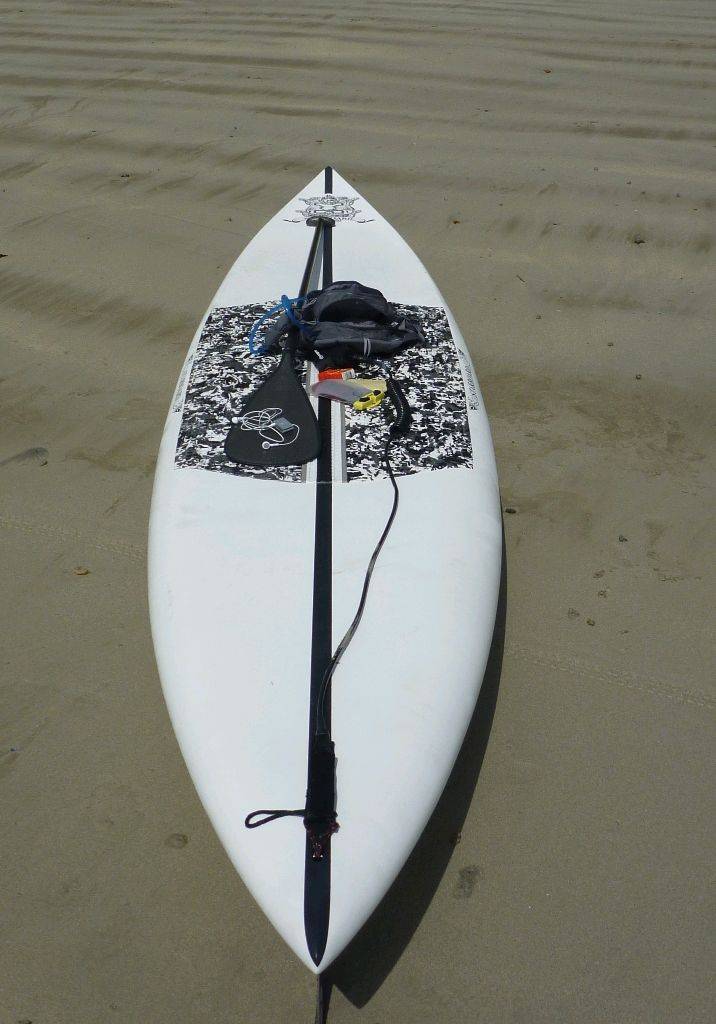 Pin with gear