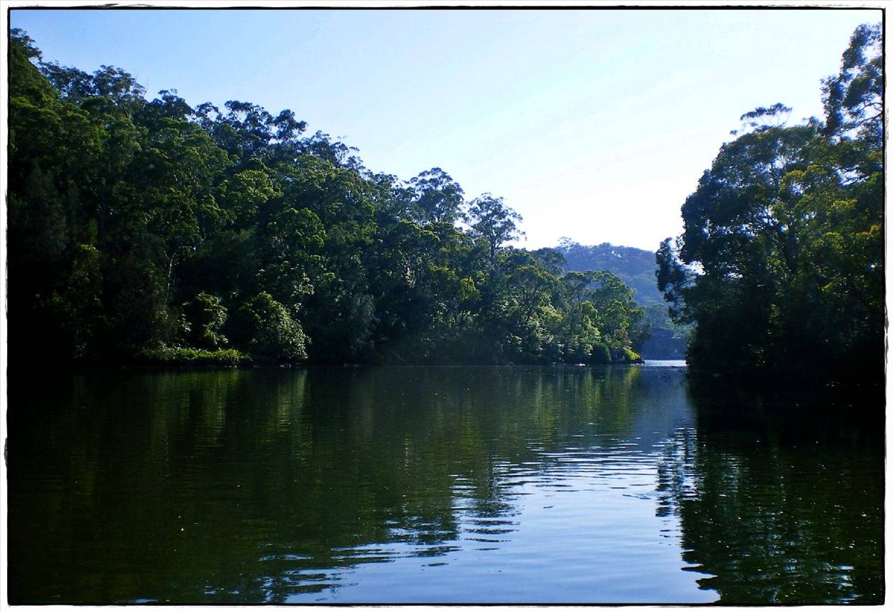 Woronora River 034
