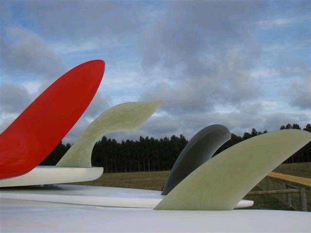 FINS 004 (Small)