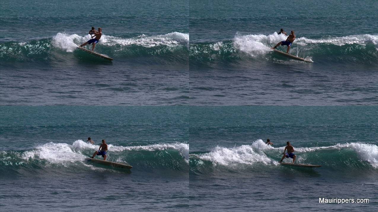 2010-01-313